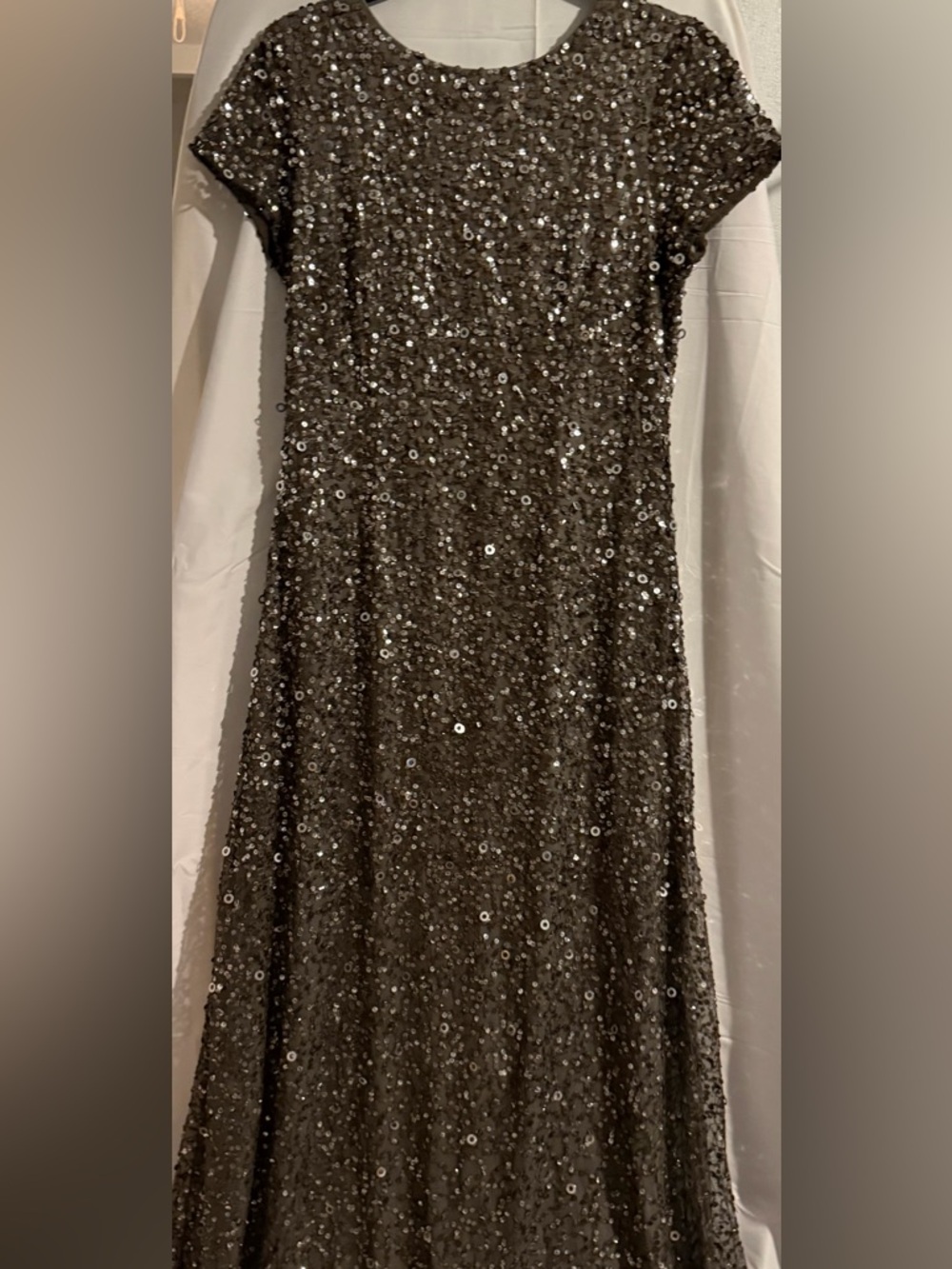 Adrianna Papell Silver Sequin Cap Sleeve Formal Gown NWOT.Never Worn